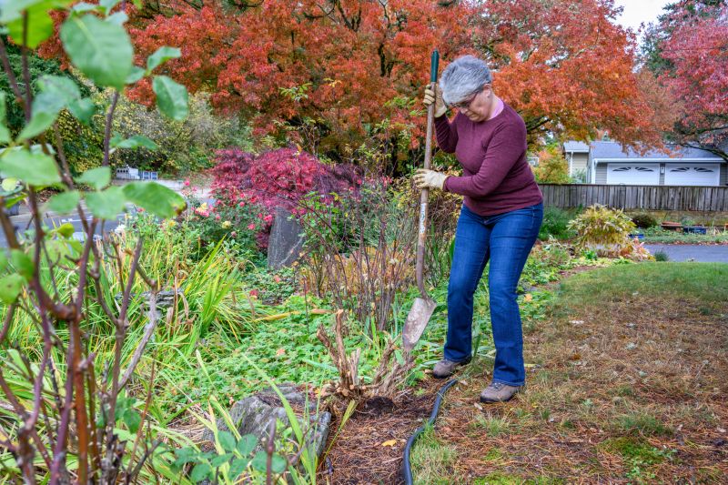 Fall Shrub Trimming