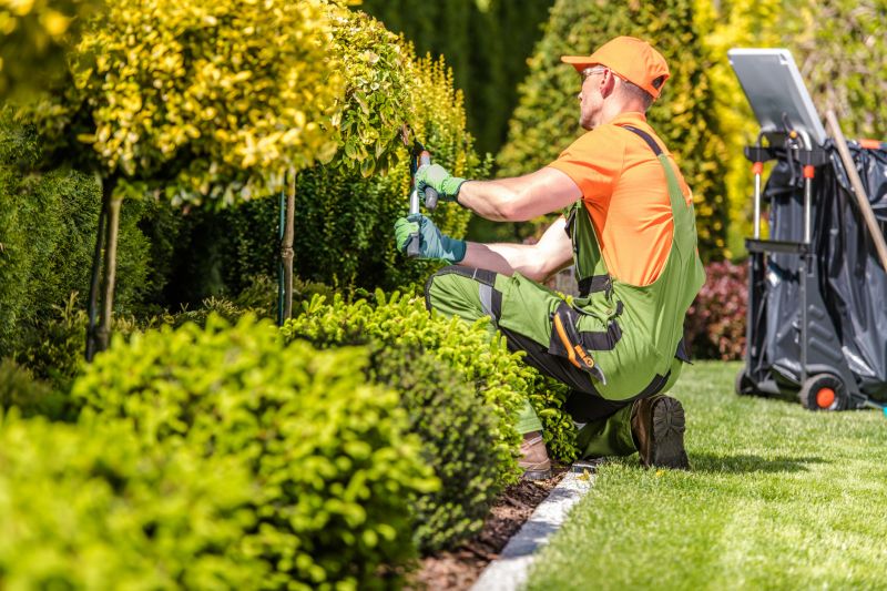 Expert shrub trimming in Hayward