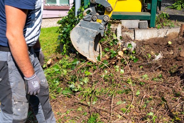 Hedge Removal Service in Hayward